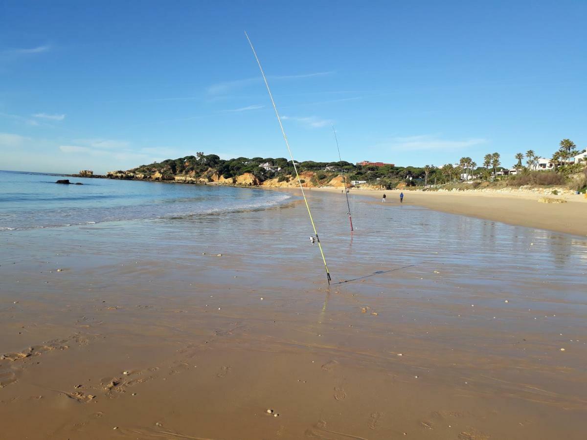 Sonia - Pateo Da Aldeia Lägenhet Albufeira Exteriör bild